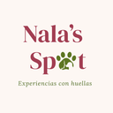 Tu perro no ve el mundo como tú: lo huele